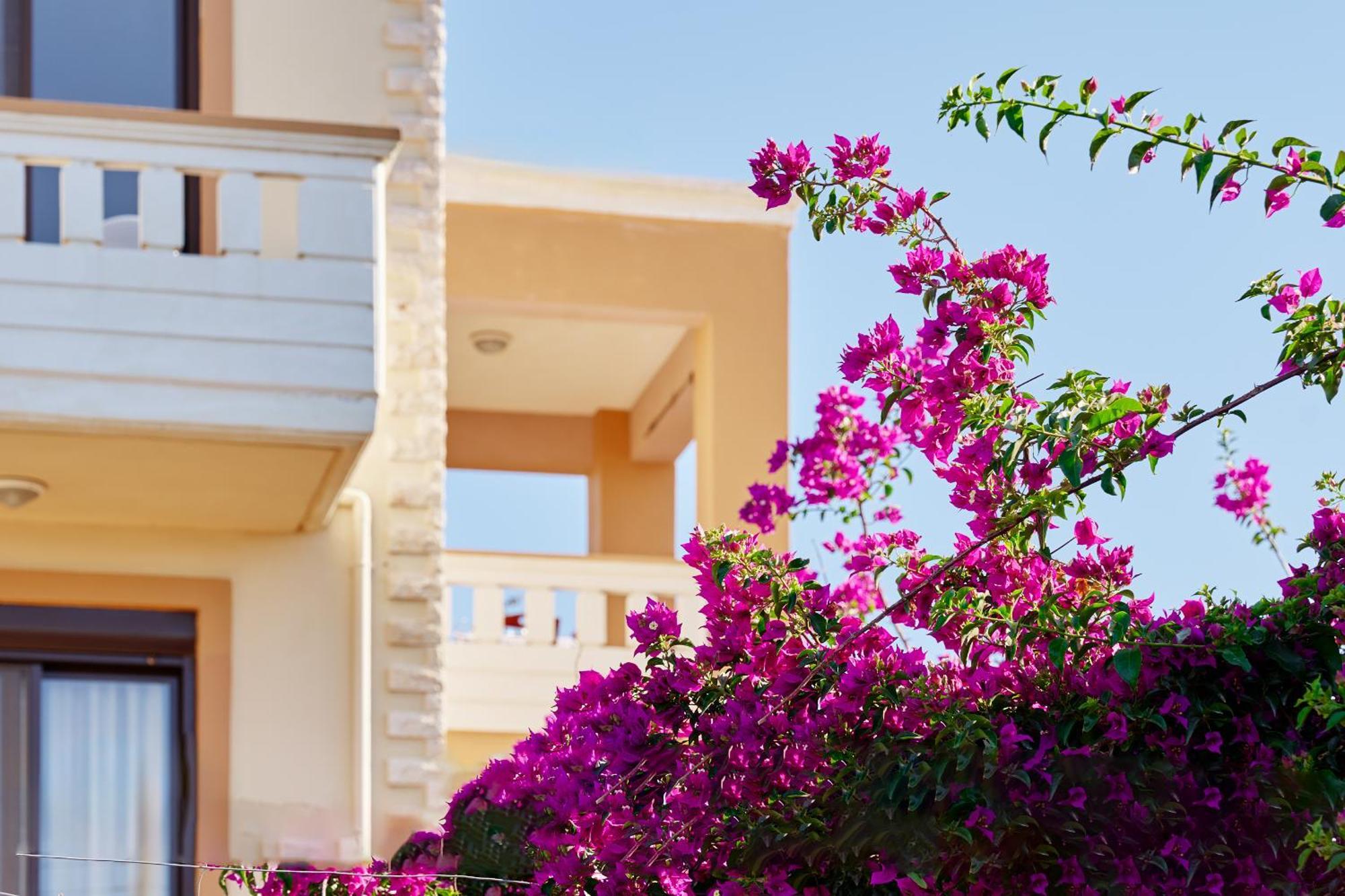 Villa Gereoudis Seaview Apartments-Pool & Bar Kolymbari Exterior foto